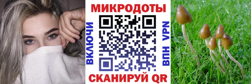 Галлюциногенные грибы MAGIC MUSHROOMS  Урюпинск 